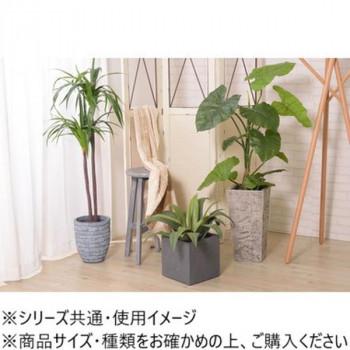 東谷 グリーンベース グレー GRNB-206の画像