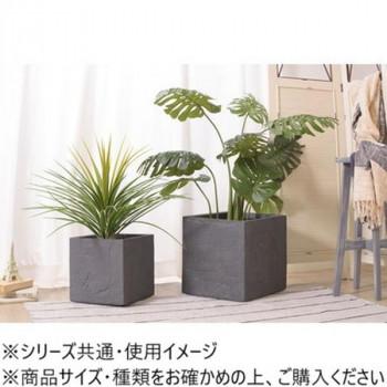 東谷 グリーンベース ダークグレー GRNB-209の画像