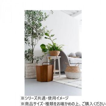 東谷 ウッドプランターS ブラウン GUY-823BRの画像