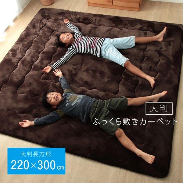 正規品 ラグ こたつ敷布団 厚手 洗える 冬用 こたつ 敷布団 冬 6畳 おしゃれ 滑り止め カーペット 防音 長方形 こたつ敷き布団 こたつ敷きマット 2 300 ポイント10倍 Atempletonphoto Com