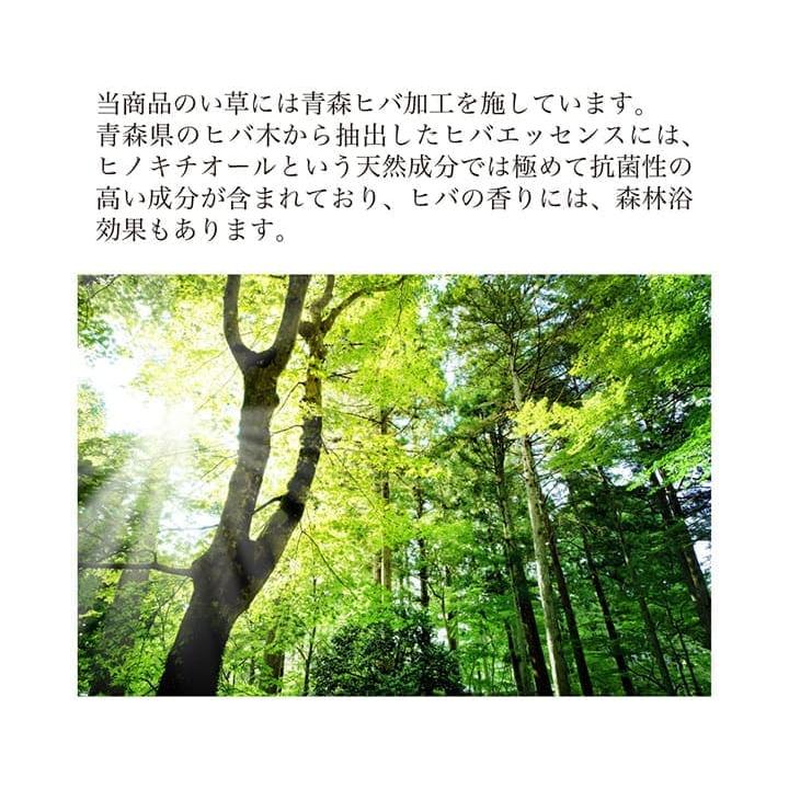 い草カーペット 上敷き 3畳 い草ラグ カーペット い草 ラグ いぐさ 裏貼り 畳 夏用 おしゃれ 抗菌 防臭 サイズ ござ 夏 長方形 堀こたつ 190×250