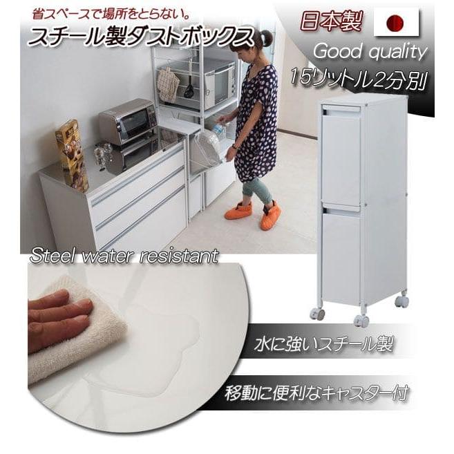 ゴミ箱 スリム 2段 30l 幅25 フタ付き ラック 斜め ダストボックス