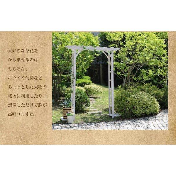 アーチ ガーデンアーチ パーゴラアーチ 藤棚 ふじ棚 ぶどう棚 葡萄棚 ...