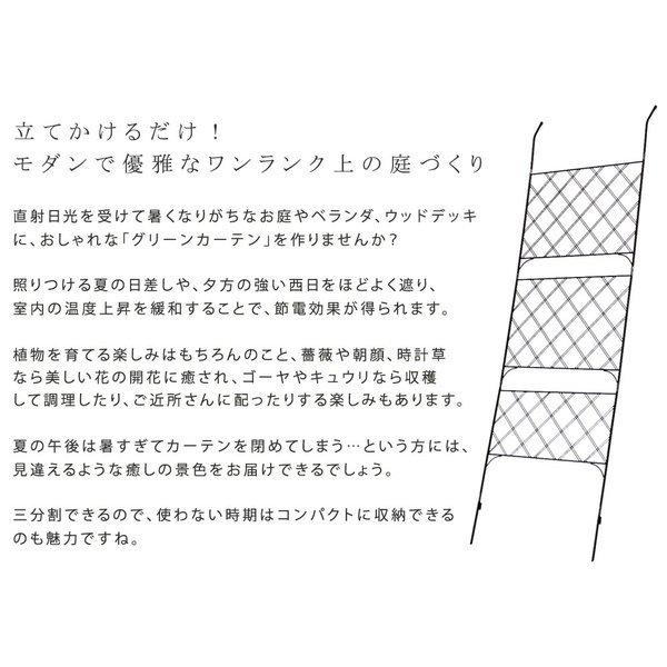数量限定 フェンス ガーデンフェンス 花壇 アイアン 外構 Diy 簡単 網 北欧 目隠し プランター 置き型 庭 屋外 グリーンカーテン グリーンフェンス 海外正規品 Hopespeechtherapy Com