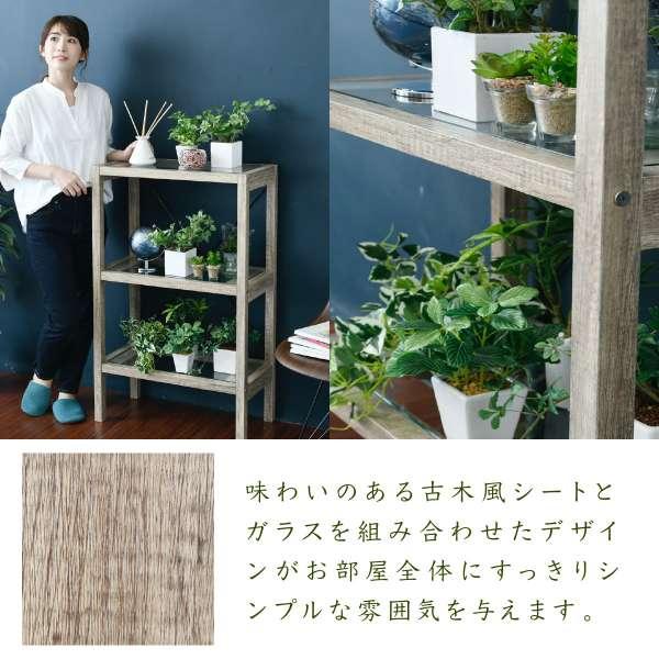 SO　ウッドプランター3段シェルフ　メープル✖️ブラック　30cm 6セット 楽天市場】プランターシェルフの通販