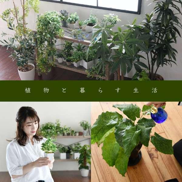 ラック 棚 木製 収納 スリム 幅60 観葉植物 プランター ガラス 3段