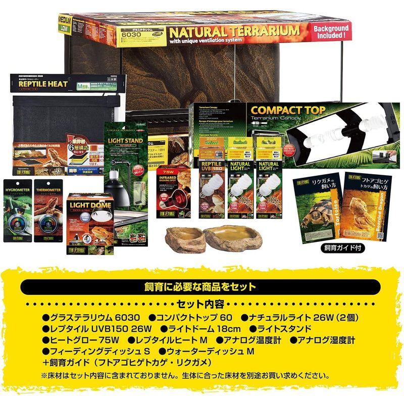 GEX EXOTERRA フトアゴヒゲトカゲ&リクガメ飼育キット 爬虫類用ガラスケージ グラステラリウム 12点スターターセット ヒーター付 GEX EXOTERRA フトアゴヒゲトカゲ&リクガメ飼育キット 爬虫類用ガラスケージ グラステラリウム 12点スターターセット ヒーター付