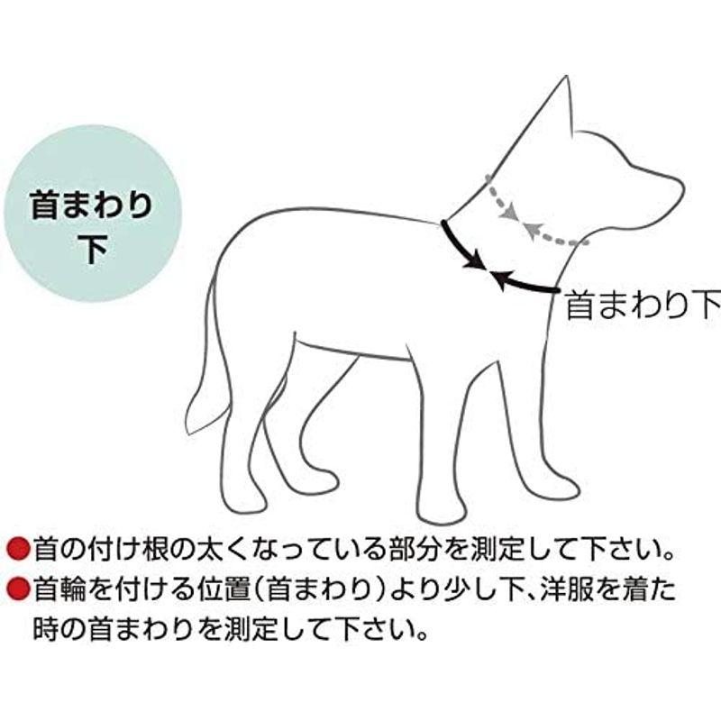 EZYDOG(イージードッグ) 正規代理店品 DFDスタンダード レッド 中型犬用 M サイズ サイズ イージードッグ 正規代理店品 DFDスタンダード レッド 中型犬用