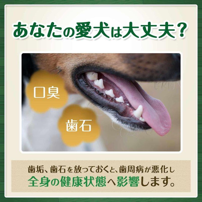 グリニーズ プラス カロリーケア 超小型犬用 ミニ 1.3-4kg 60本 犬用歯みがきガム｜quvmall2｜02