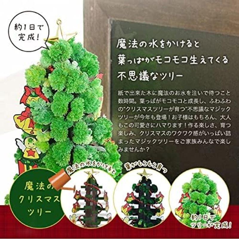 ミニツリー マジックツリー マジッククリスマスツリー 1日で育つ不思議なツリー ラージ (グリーン)｜quvmall2｜03