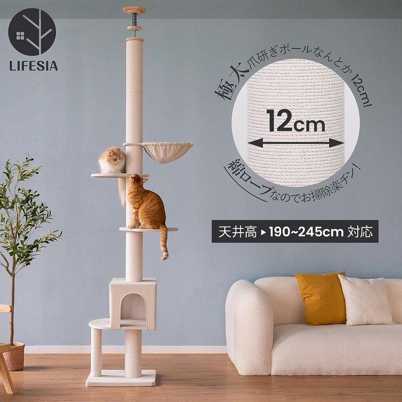 lifesia キャットタワー 猫ツリー 突っ張り 省スペース 猫ハウス ハンモック付 綿ロープ 綿紐 つめとぎ 安定性 運動不足解消 スト キャットタワー 猫ツリー 突っ張り 省スペース 猫ハウス ハンモック付 綿ロープ 綿紐 つめとぎ 安定性 運動不足解消 スト