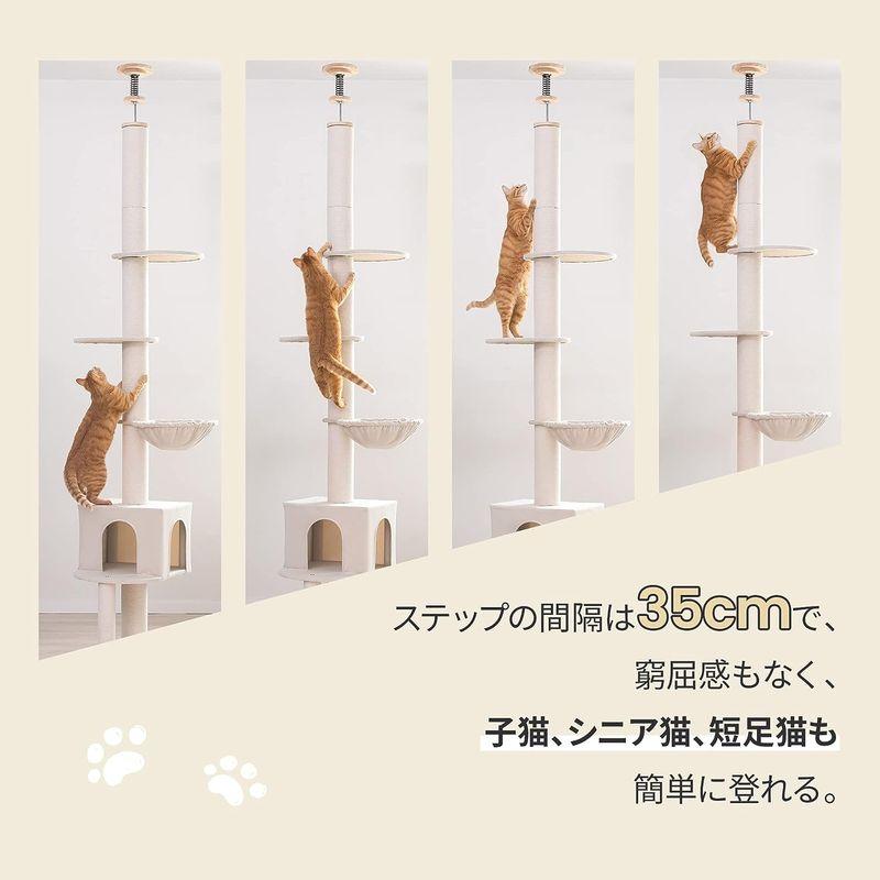 lifesia キャットタワー 猫ツリー 突っ張り 省スペース 猫ハウス ハンモック付 綿ロープ 綿紐 つめとぎ 安定性 運動不足解消 スト キャットタワー 猫ツリー 突っ張り 省スペース 猫ハウス ハンモック付 綿ロープ 綿紐 つめとぎ 安定性 運動不足解消 スト