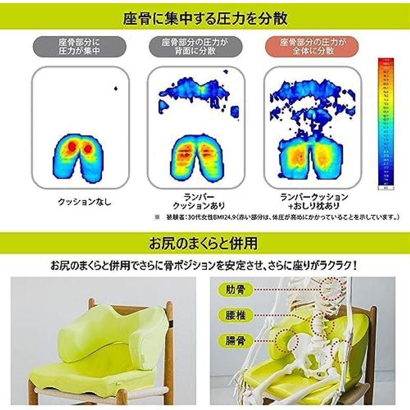 西川 (nishikawa) キープス 腰クッション いつもの椅子につけるだけで快適姿勢をサポート ランバーサポート 腰枕 独自の立体構造｜quvmall2｜14