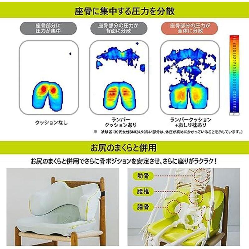 西川 (nishikawa) キープス 腰クッション いつもの椅子につけるだけで快適姿勢をサポート ランバーサポート 腰枕 独自の立体構造｜quvmall2｜18