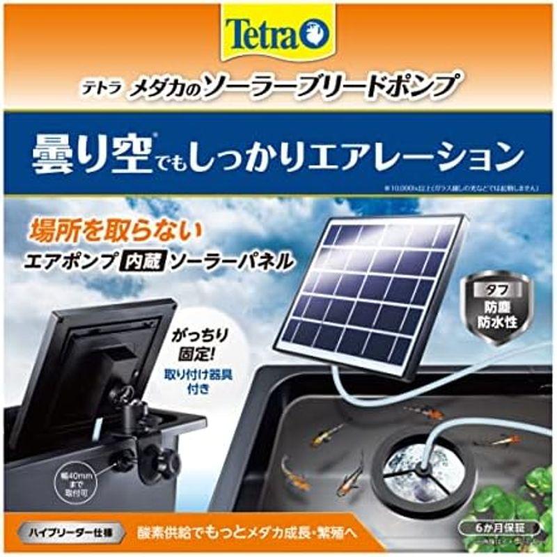 テトラ (Tetra) メダカのソーラーブリードポンプ 電源不要 屋外使用可能 ソーラーポンプ 池ポンプ ウォーターポンプ 太陽光発電 酸素｜quvmall2｜06