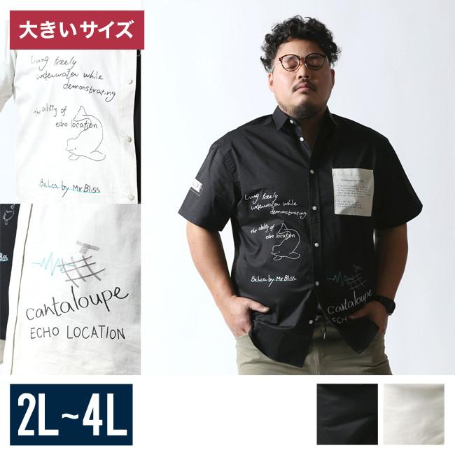 すのチル　BIGサイズ　オーバーオール Lee 10%OFF リー オーバーオール テーパード ダンガリーズ