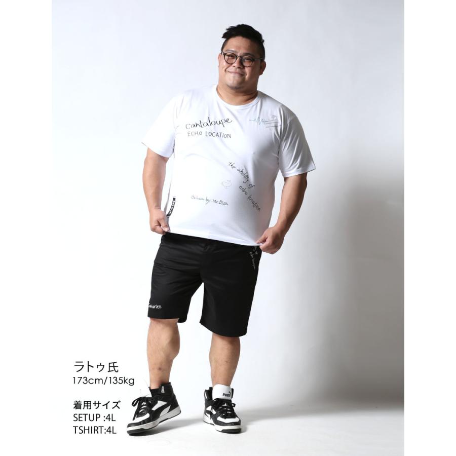 大きいサイズ 半袖 Tシャツ カットソー メンズ Beluca エコーロケーション 刺繍 レディース 2L 3L 4L カジュアル 白 黒 春 夏 秋 |  | 14
