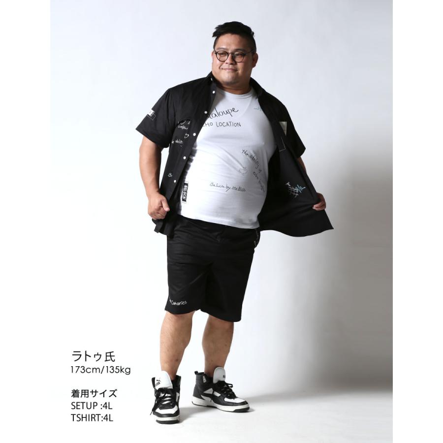 大きいサイズ 半袖 Tシャツ カットソー メンズ Beluca エコーロケーション 刺繍 レディース 2L 3L 4L カジュアル 白 黒 春 夏 秋 |  | 18