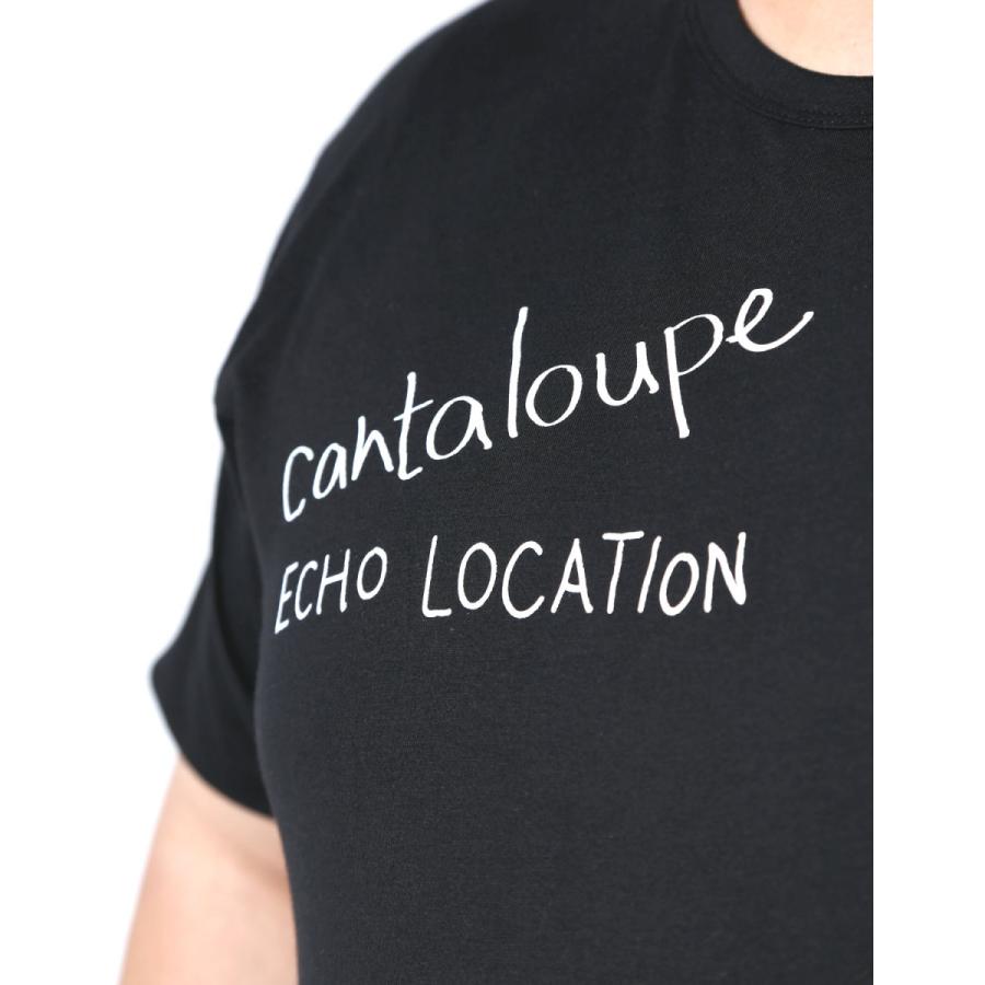 大きいサイズ 半袖 Tシャツ カットソー メンズ Beluca エコーロケーション 刺繍 レディース 2L 3L 4L カジュアル 白 黒 春 夏 秋 |  | 04