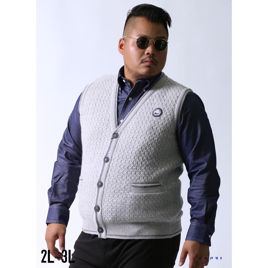 大きいサイズ ニットベスト メンズ CAPRI(カプリ) ワッペン付き アンゴラ混 日本製 限定1点 2L 3L 灰 秋 冬 |  | 01