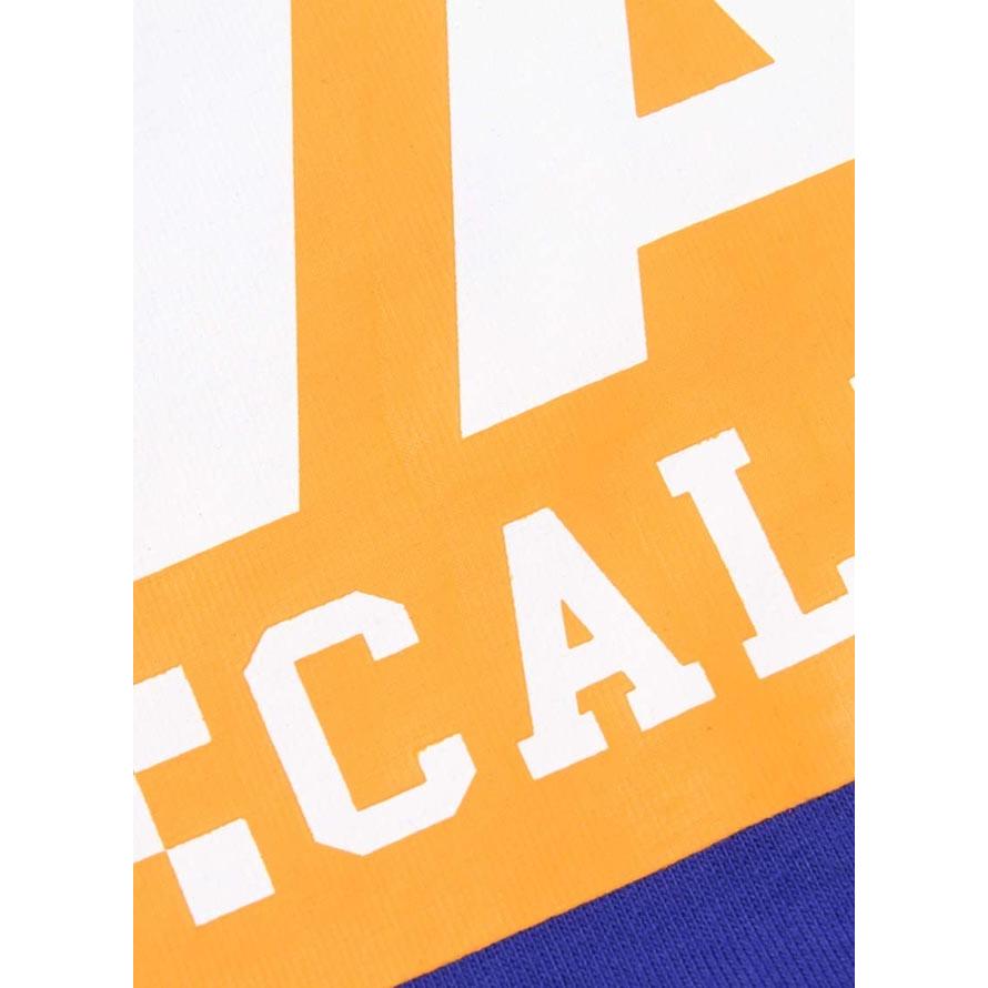 大きいサイズ 半袖Tシャツ メンズ Uネック ロゴT VANS(バンズ) 綿100％ 3L 4L 5L 6L カジュアル 青 黒 春 夏 | VANS | 05