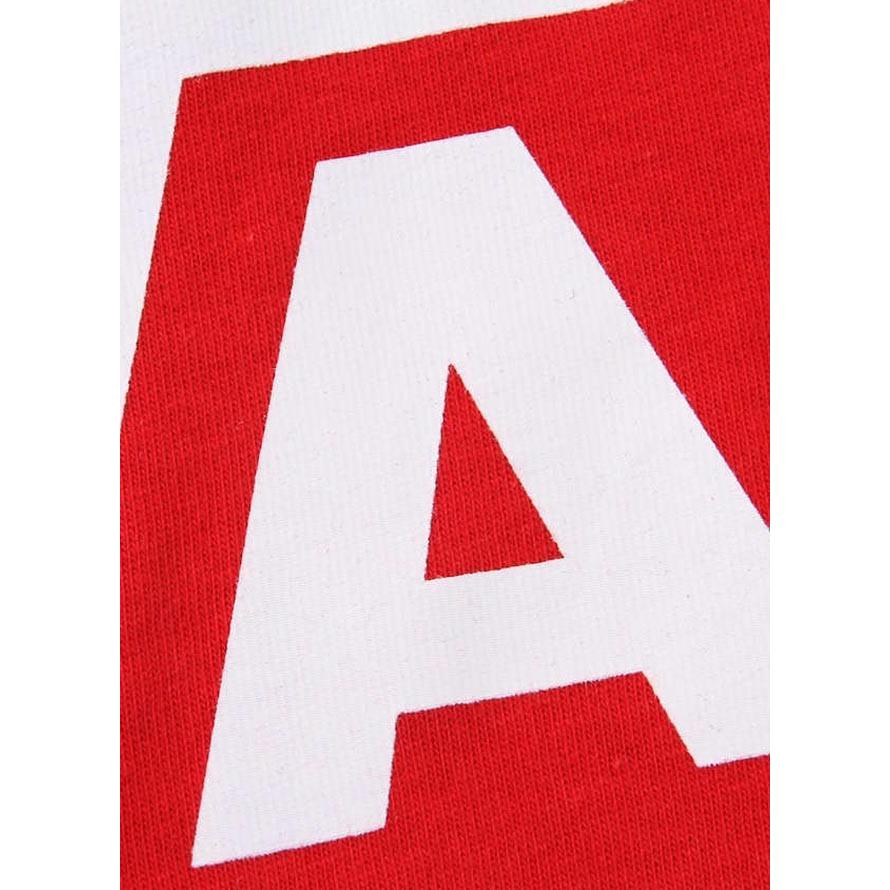 大きいサイズ 半袖Tシャツ カットソー メンズ クルーネック VANS (バンズ) カラーパネル 3L 4L 5L カジュアル 黒 白 春 夏 秋 冬 | VANS | 06