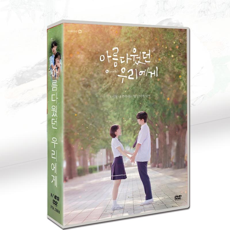 韓国ドラマ「美しかった私たちへ」DVD 日本語字幕 韓国/ウェブドラマ
