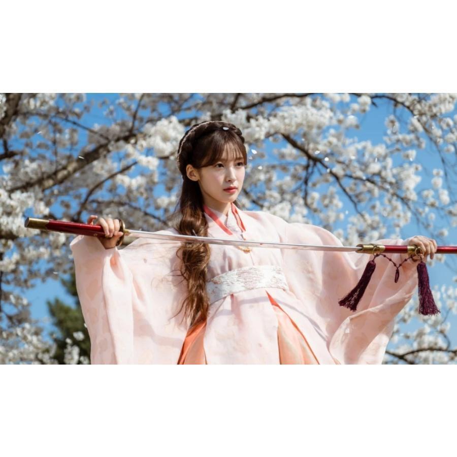 韓国ドラマ「還魂」 Blu-ray ブルーレイ　日本語字幕あり　イ・ジェウク 韓国ドラマ「還魂」 Blu-ray ブルーレイ 日本語字幕あり イ