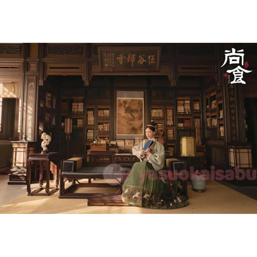 中国ドラマ　尚食 　DVD日本語字幕付き 中国ドラマ 尚食 DVD日本語字幕付き Amazon.co.jp: 尚食(しょう