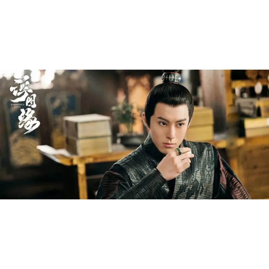 中国ドラマ 『浮図縁?秘めた思い?』日本語字幕付き 高画質 ワン