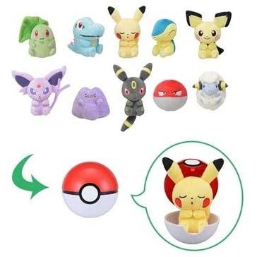 ピカチュウ 目閉じ プチぬいぐるみinモンスターボールケース Vol 2 ポケットモンスター ポケモンセンター限定 R Ainet 通販 Yahoo ショッピング