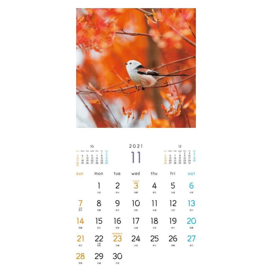 もふもふふわふわシマエナガ カレンダー 21 カレンダー R Ainet 通販 Yahoo ショッピング