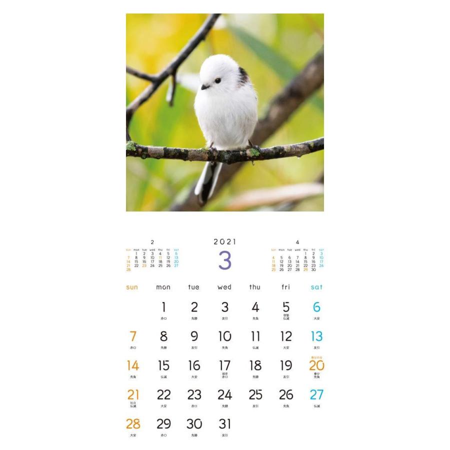 もふもふふわふわシマエナガ カレンダー 21 カレンダー R Ainet 通販 Yahoo ショッピング