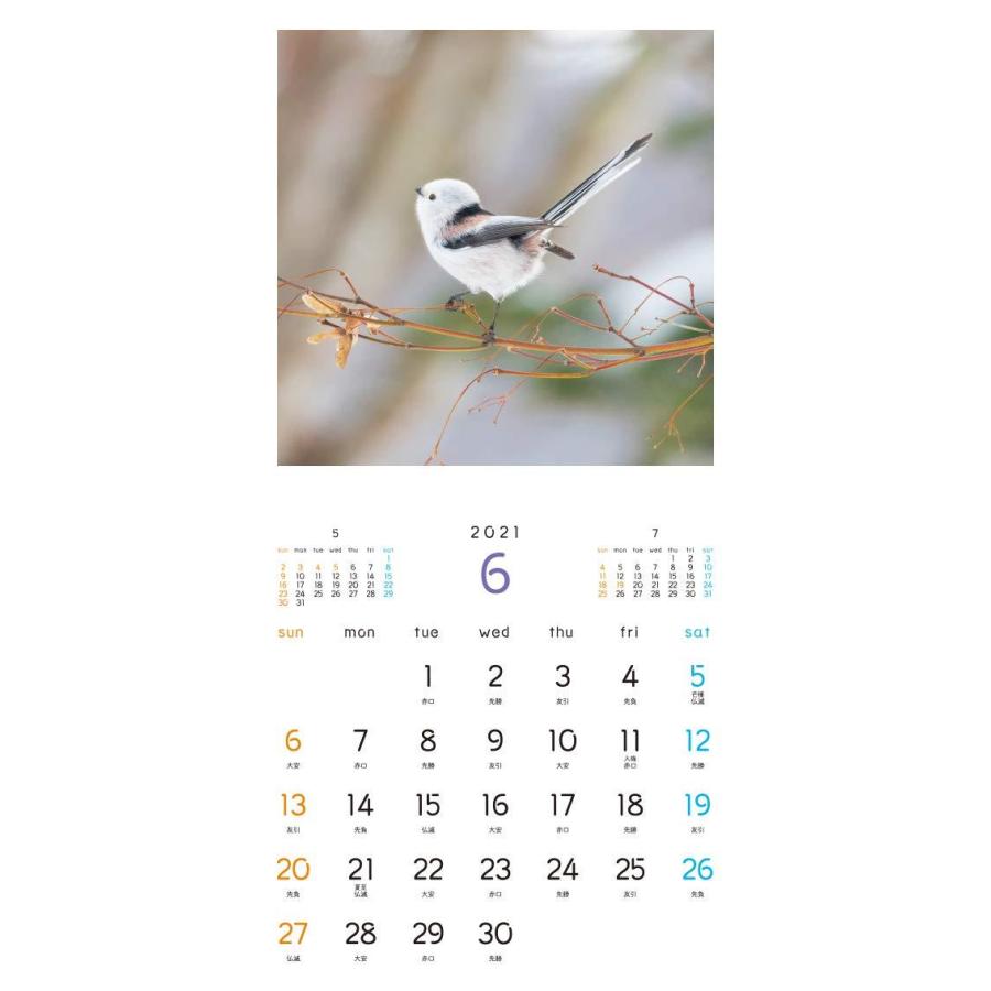 もふもふふわふわシマエナガ カレンダー 21 カレンダー R Ainet 通販 Yahoo ショッピング