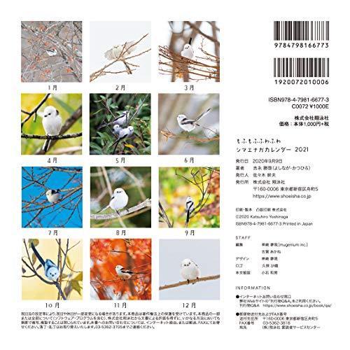 もふもふふわふわシマエナガ カレンダー 21 カレンダー R Ainet 通販 Yahoo ショッピング