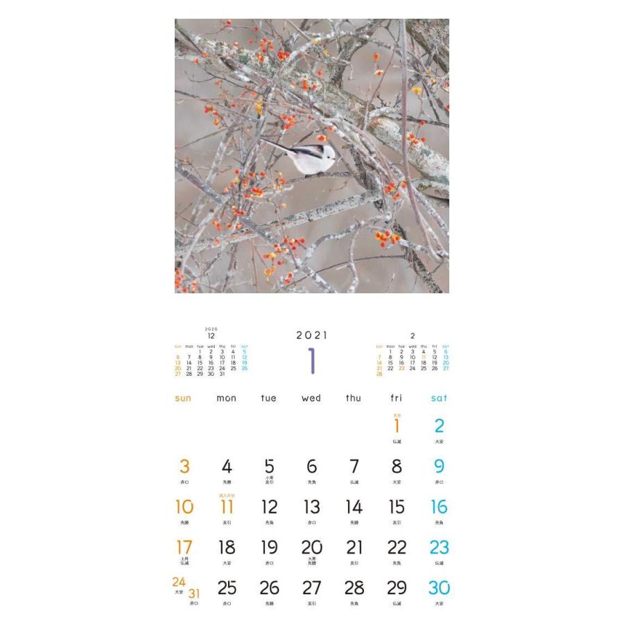 もふもふふわふわシマエナガ カレンダー 21 カレンダー R Ainet 通販 Yahoo ショッピング