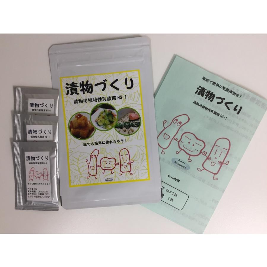 乳酸菌スターター 漬物づくり 植物性乳酸菌hs 1スターター 生菌粉末 Pbffbbs01u リアルバイオサイエンス店 通販 Yahoo ショッピング