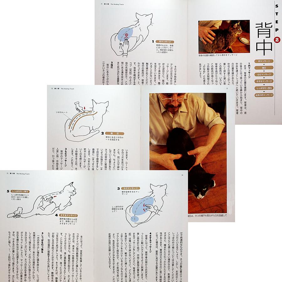 フォックス先生の猫マッサージ 3447 アールブックス ヤフー店 通販 Yahoo ショッピング