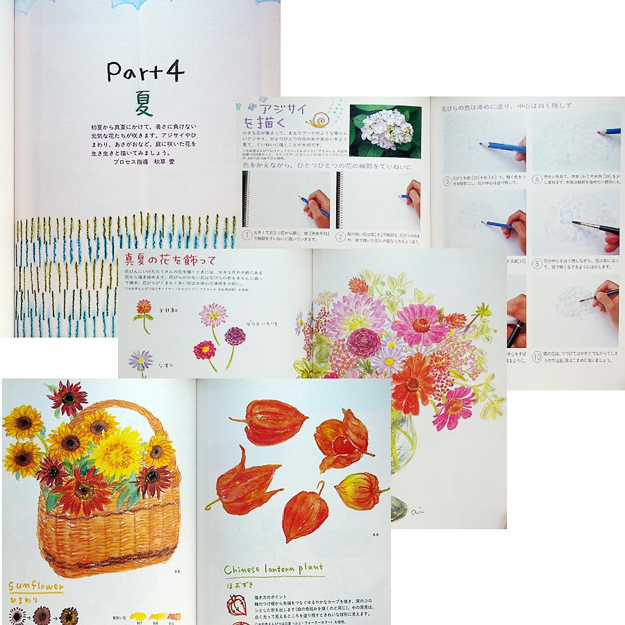 はじめての水彩色えんぴつ 花と風景を描く 3966 アールブックス ヤフー店 通販 Yahoo ショッピング