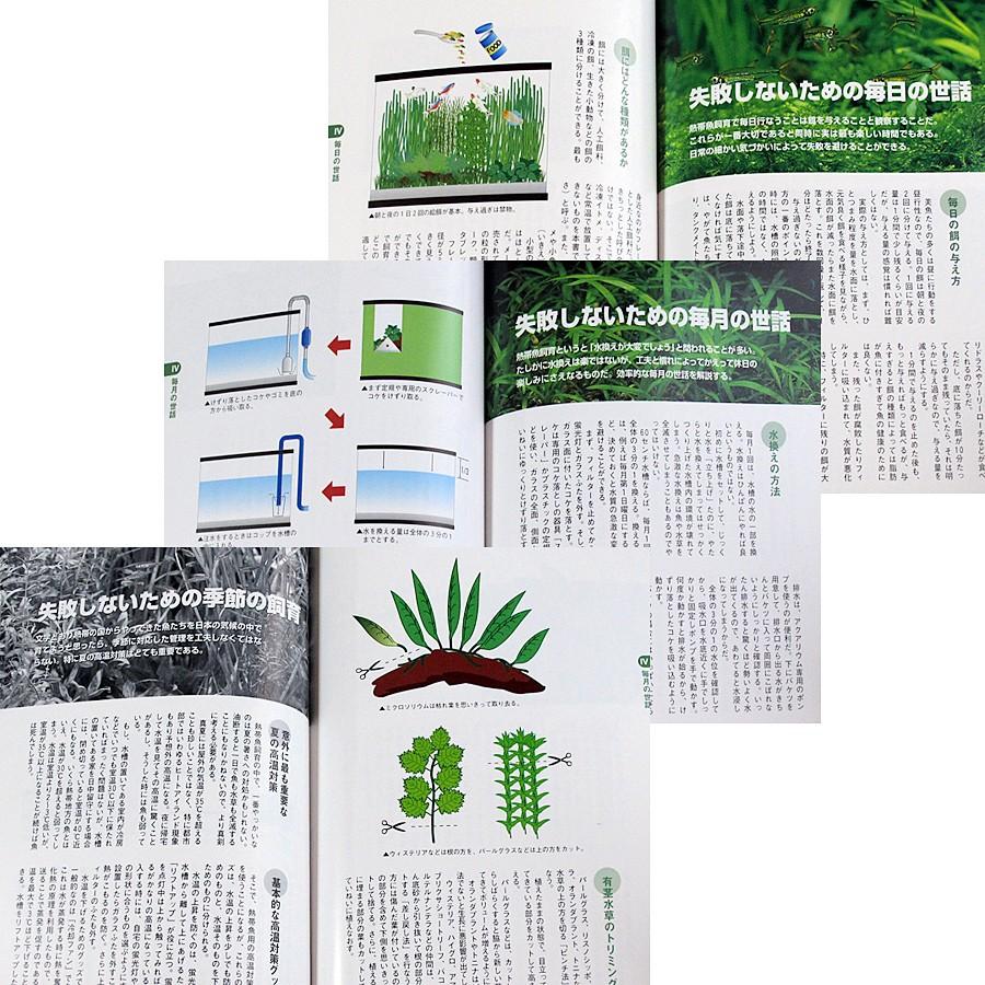 熱帯魚完全飼育 美魚編 5474 アールブックス ヤフー店 通販 Yahoo ショッピング