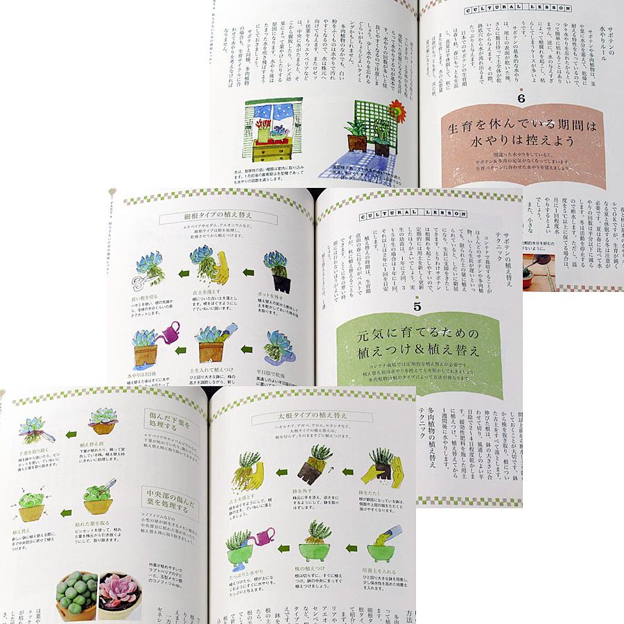 サボテンと多肉植物を楽しむ本 ─趣味の教科書 : アールブックス