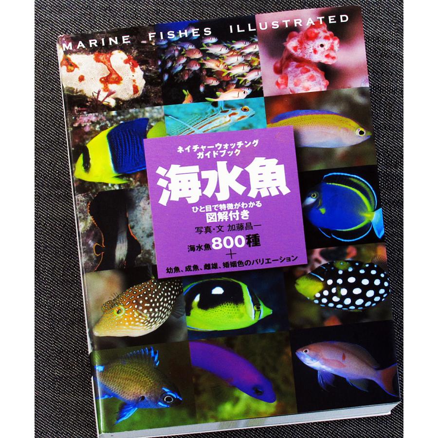 海水魚 ひと目で特徴がわかる図解付き 6354 アールブックス ヤフー店 通販 Yahoo ショッピング