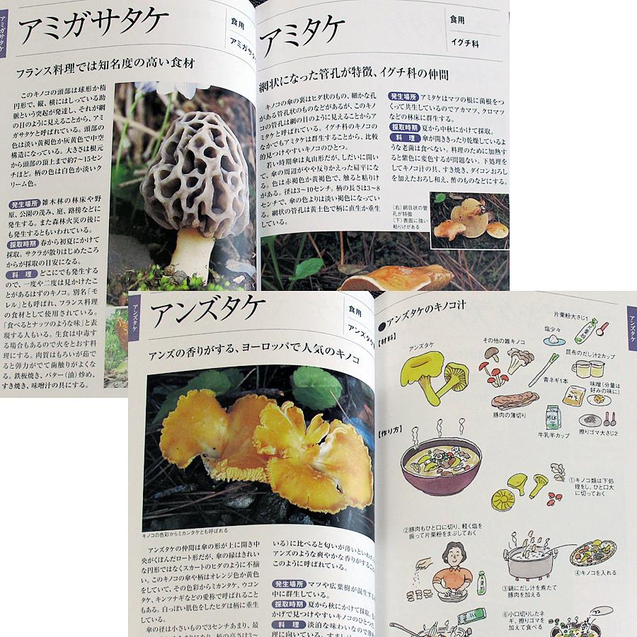 名人が教えるきのこ採り方・食べ方｜r-books｜02