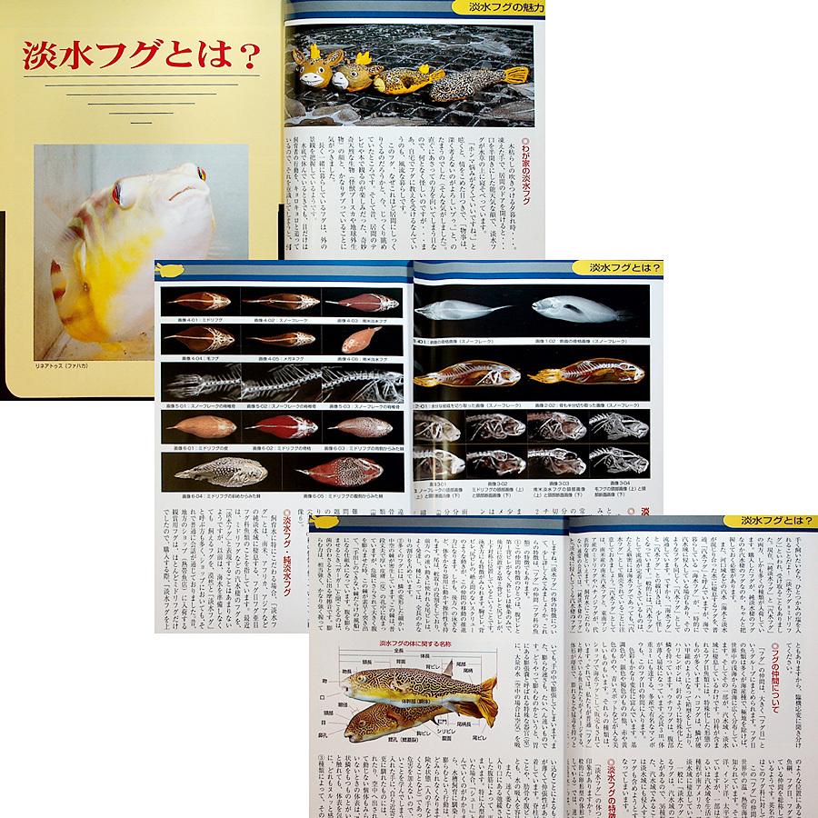 ザ・フグ ―フグの飼育と楽しみ方｜カラー図鑑＆飼育ガイド 飼い方 淡水