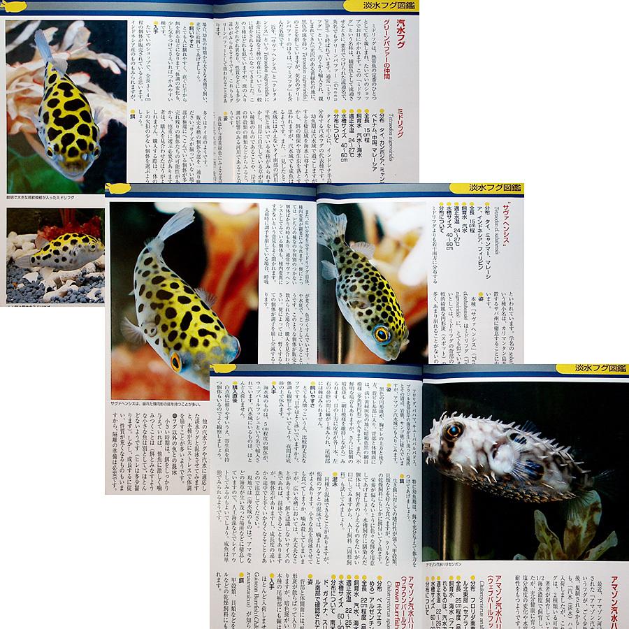 ザ・フグ ―フグの飼育と楽しみ方｜カラー図鑑＆飼育ガイド 飼い方 淡水