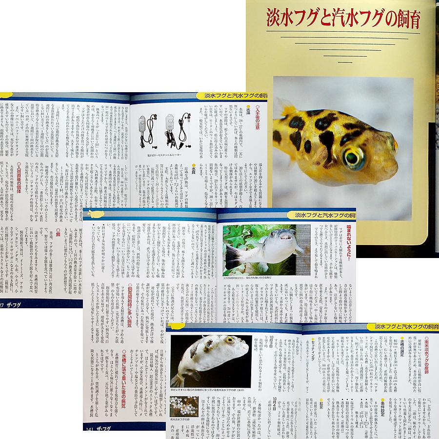 ザ・フグ ―フグの飼育と楽しみ方｜カラー図鑑＆飼育ガイド 飼い方 淡水