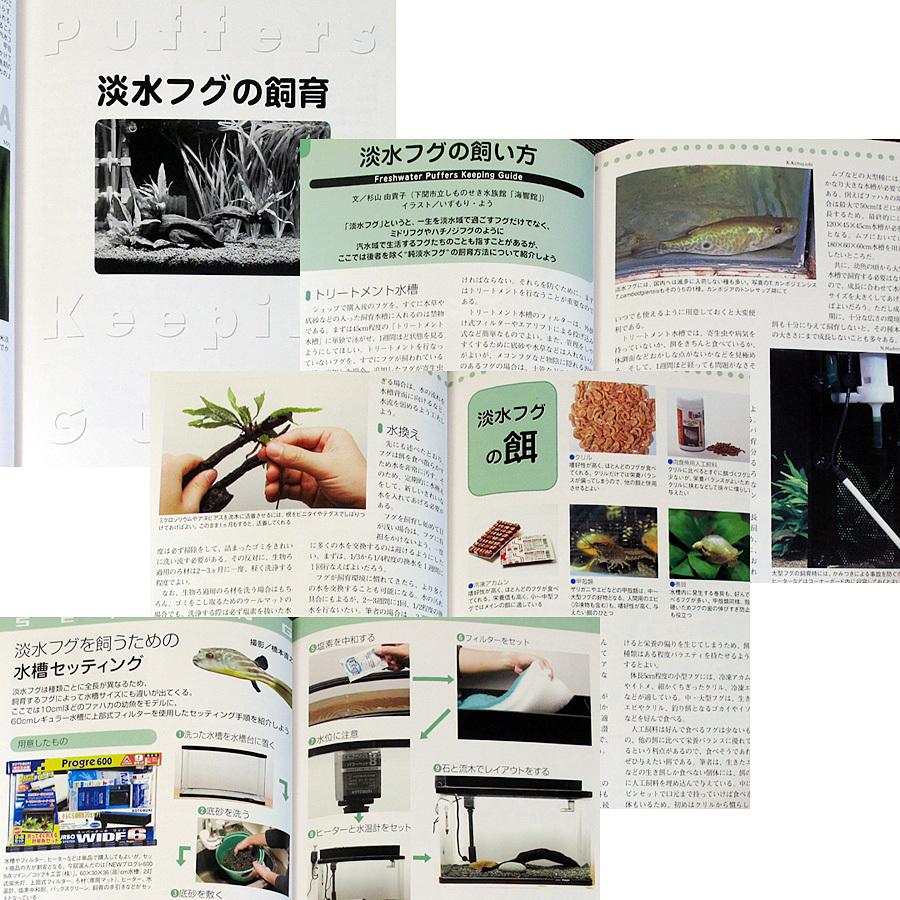 フグの飼い方 淡水フグから海水フグまで 6471 アールブックス ヤフー店 通販 Yahoo ショッピング