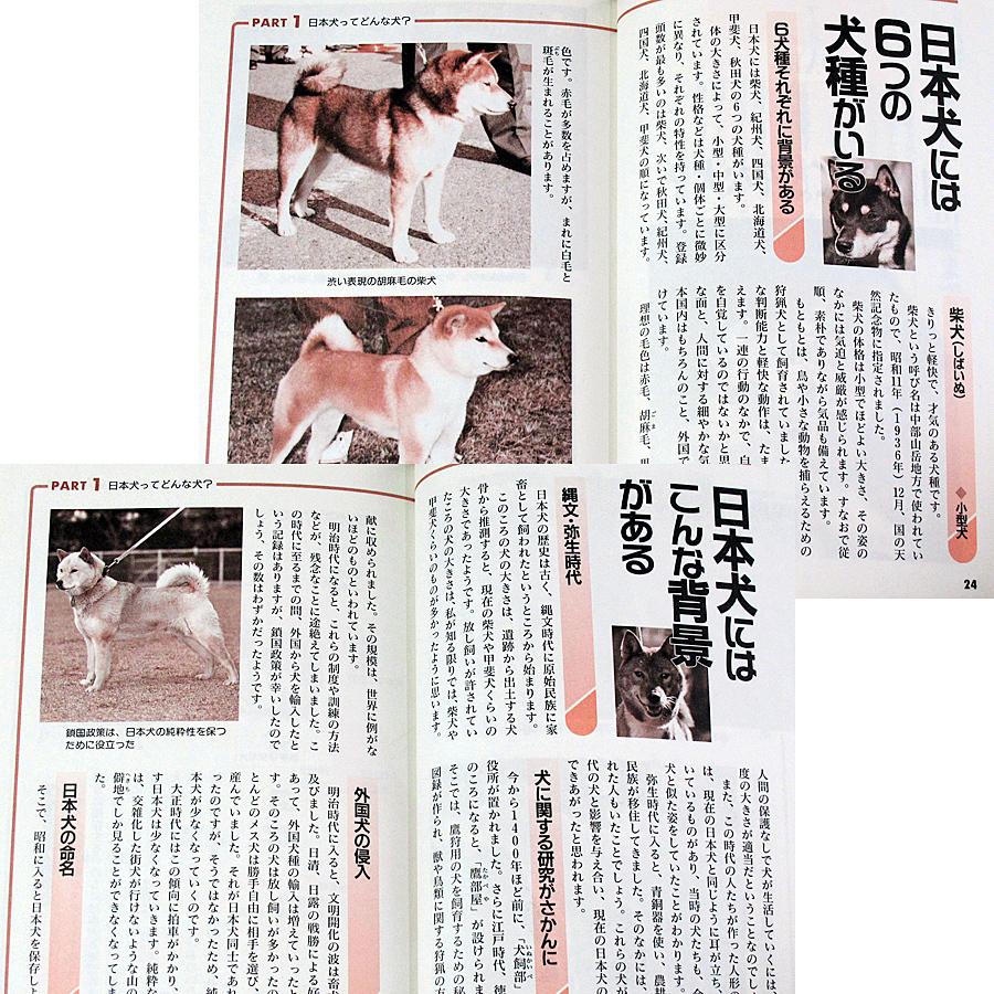 ニッポンの犬 日本犬の飼い方 楽しく暮らす しつけ と健康管理 65 アールブックス ヤフー店 通販 Yahoo ショッピング