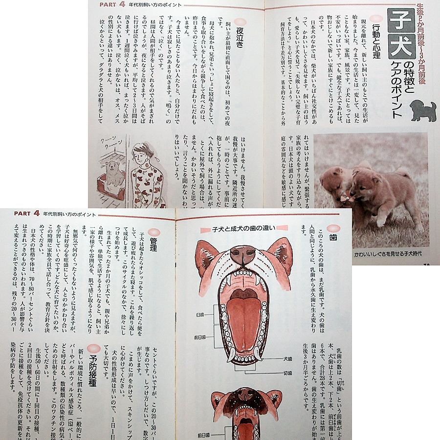 【専門書】犬を飼う知恵 犬飼育専門書11冊セット 専門書】犬を飼う知恵 犬飼育専門書11冊セット - メルカリ