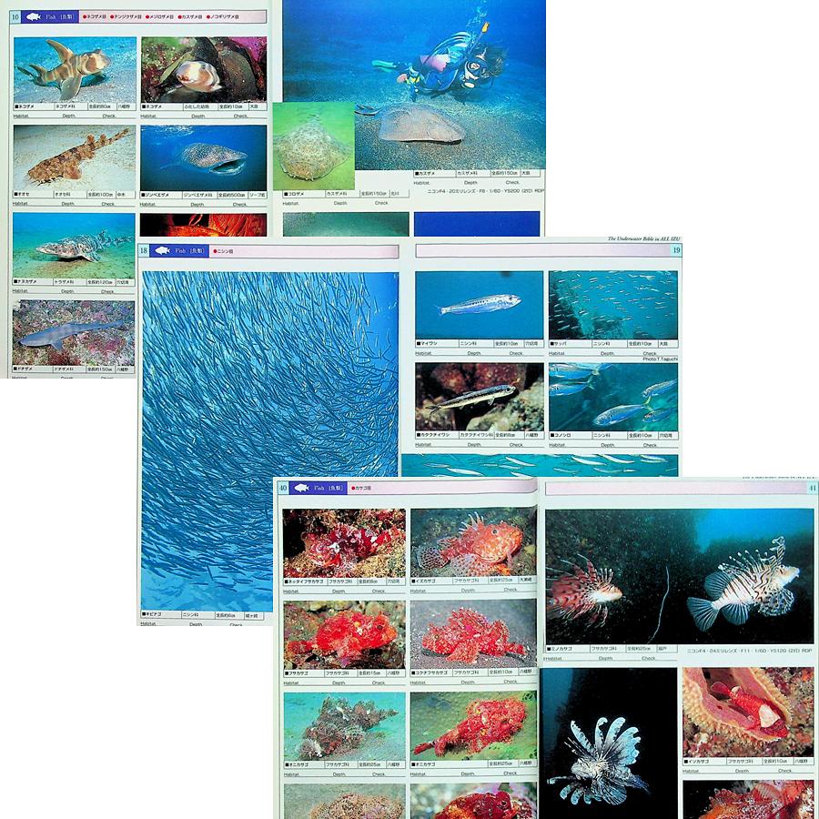 伊豆の海　海中大図鑑　第６版 伊藤勝敏 ヨドバシ.com - 伊豆の海 海中大図鑑 第6版 [全集叢書] 通販